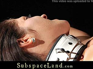 What Happens When Pussy B Vibes Fucked Slave Struggles To Endure Intense Bondage Punishment And Cumshot?