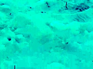 Risky Outdoor Public Jerking Off On People With Intense Orgasm Fetish