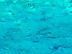 Risky Outdoor Public Jerking Off On People With Intense Orgasm Fetish