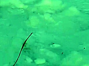 Risky Outdoor Public Jerking Off On People With Intense Orgasm Fetish