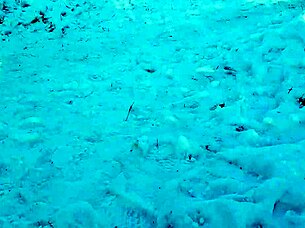 Risky Outdoor Public Jerking Off On People With Intense Orgasm Fetish