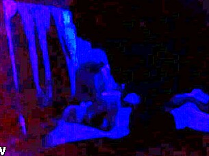 Blue room special with ebony cock sucking and black blowjob action