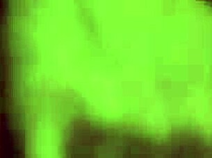 Madelyn Marie Shaved Pussy Fucked Hard In Airplane With Facial Cumshot