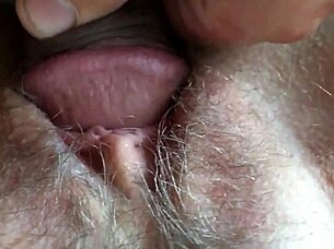 hey, is this the year your wife becomes a real cuckold creampie lover?