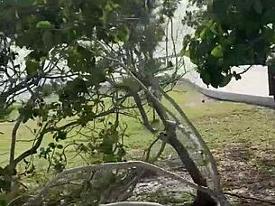 I saw a blonde on the beach and asked her for a favor, but she charged me 10.