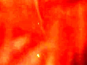 She's taking that steamy shower, showing off her big tits and big ass. The brazilian beauty teases the photographer with every move.