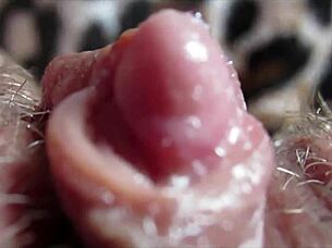 Intense Big Clit Orgasm Captured in Extreme Closeup Action!