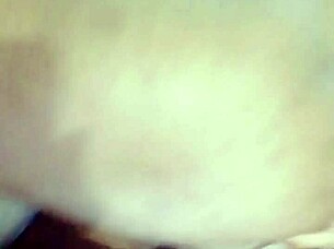 Sundaydogood614 Presents Update 870 With Video From March 22 2025 Highlighting Homemade Details.