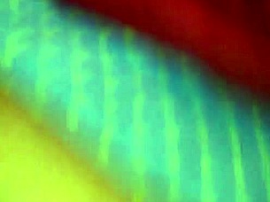 big butt bubble lady