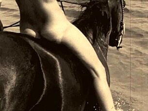 I uh share from my secret life those erotic confessions of victorian english gentleman ya know