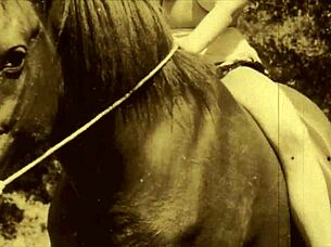 빅토리아 영국 신사 에로틱 고백 비밀 생활 공유해