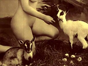 I uh share from my secret life those erotic confessions of victorian english gentleman ya know