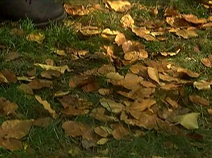 Melody Max gets fucked doggystyle outdoors in lingerie and takes cumshot on her big tits