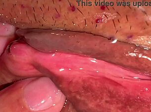 I captured this amateur pink pussy just 172 days after she lost her virginity in a close-up session