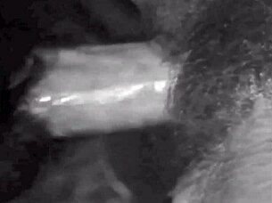 My Secret Life Vintage Eroticum