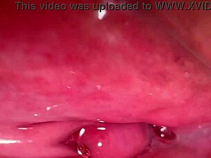 I captured this amateur pink pussy just 172 days after she lost her virginity in a close-up session