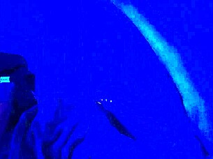 i feel thrilled exploring black feet fetish with intense footjob and toes action