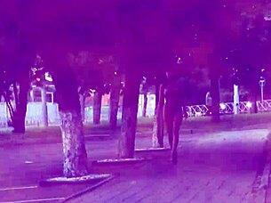 I'm so excitd being completely nude in public. flashing naked on city streets feels wild!