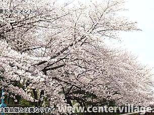 hey, check out this first-time wife documentary featuring mio inoue in steamy action