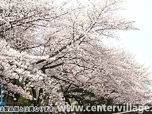 hey, check out this first-time wife documentary featuring mio inoue in steamy action