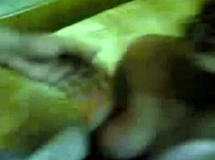 Hey, check out this amateur couple's blowjob and facial on webcam with round ass