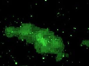 The house of whispers contrasts dark domination with erotic femdom fantasies in latex reality