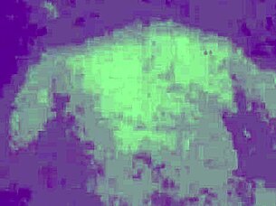 hot wife tries big cock and moans richly