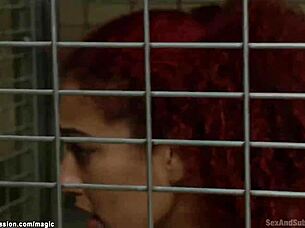 Master dominates three butt plugged slaves in intense bondage session  