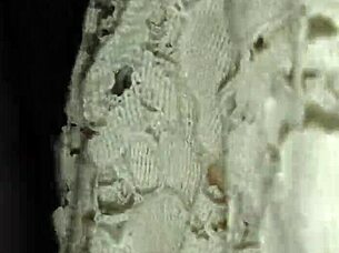 My ex girlfriend looks so hot in those stockings