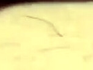 fuck that homemade ass and pussy in amateur action