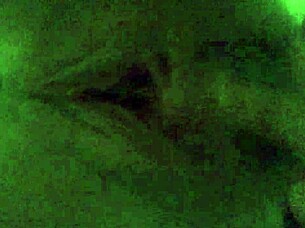 Amateur Solo Morning Masturbation With Wet Big Clit Fingering