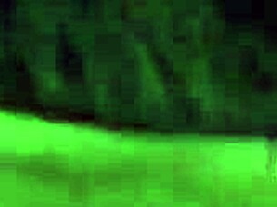 Honeysuckle here, I absolutely love sucking that hard cock in homemade action.