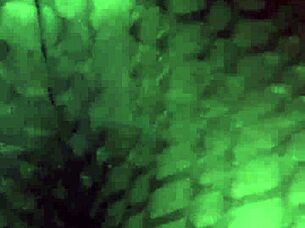 Amateur wife with big tits and big ass starts dancing wildly, shaking her curves everywhere