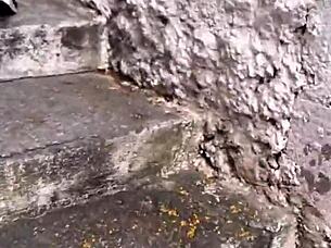 hey, the small-waist beauty with brown eyes heads up the street feeling excited outdoors