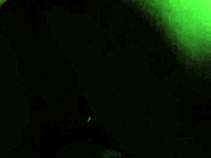 I felt the rush as I squirted in his car before he drilled my tight vagina with deepthroat action