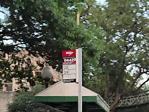 Ebony couple enjoys intense kitchen date with big black cock pounding busty goddess ass.