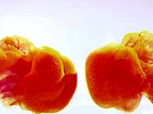 oprah's mirror image scene