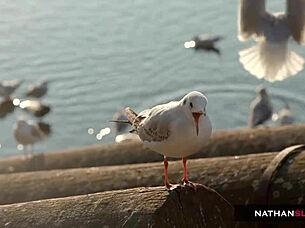 oh man, this fat cock just destroyin sexy student cindy shine's tight pussy in 4k... damn it's intense teaser