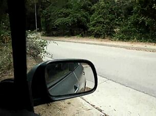 Hey, searching for a quiet spot in the woods