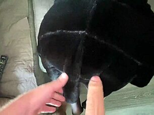 Fucking my neighbors wife with big tits and big ass until cumshot!