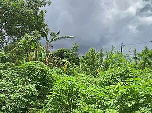 why don't you shove that toy deeper in my ass?