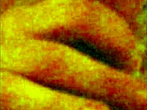 Amateur compilation of blowjobs caresses and anal action set to music