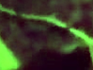 Pretty ebony babe in bikini gets tittyfucked and takes facial cumshot!