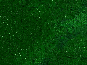 Wild 18 Yo Girl Boldly Pees On Public Beach Soaking Panties Before Sunbathing