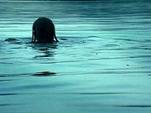 Oh man, Hayley Atwell's got those big titties, so hot and sexy in her celeb scenes, like moaning and kissing, y'know?