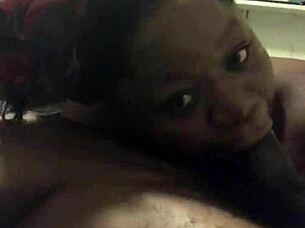 what's this tryout 6 all about on xvideos restored?