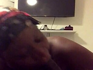 what's this tryout 6 all about on xvideos restored?