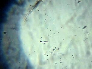 what if this load of my hot cum is just enough to fill you up completely and satisfy your deepest cravings?