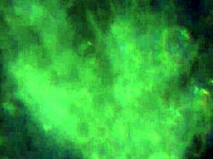 what if this load of my hot cum is just enough to fill you up completely and satisfy your deepest cravings?