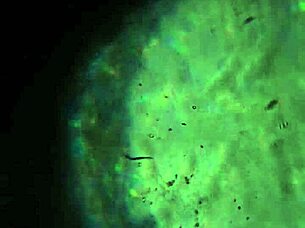 what if this load of my hot cum is just enough to fill you up completely and satisfy your deepest cravings?